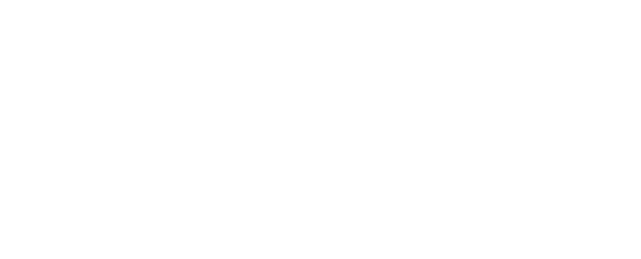Логотип Компанії Гарнет